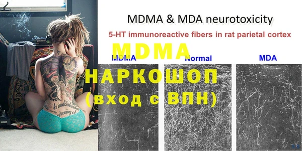сатива Абинск
