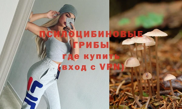 герыч Абаза
