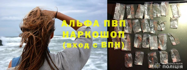 сатива Абинск