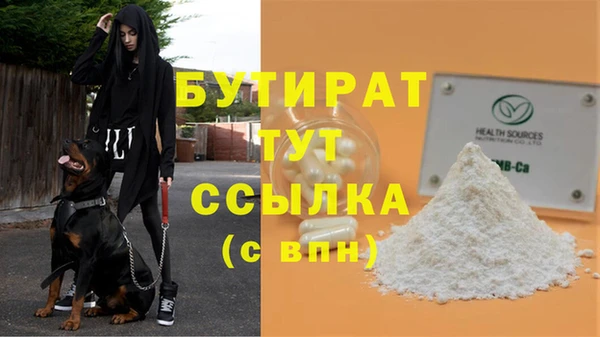 сатива Абинск