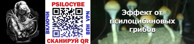 Псилоцибиновые грибы Cubensis Калачинск